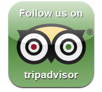 tripadvisor